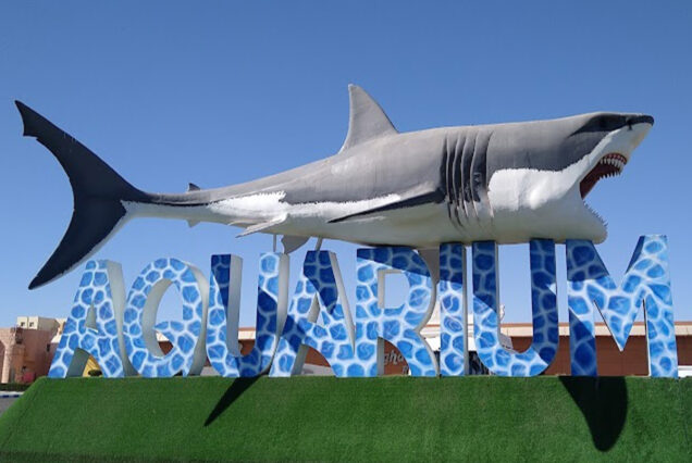 Eintrittskarte zum Hurghada Grand Aquarium